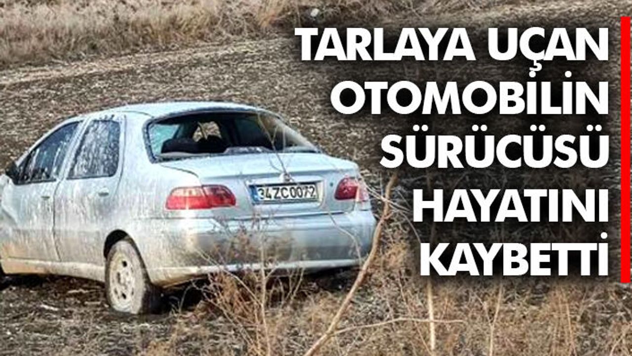 Tarlaya uçan otomobilin sürücüsü hayatını kaybetti