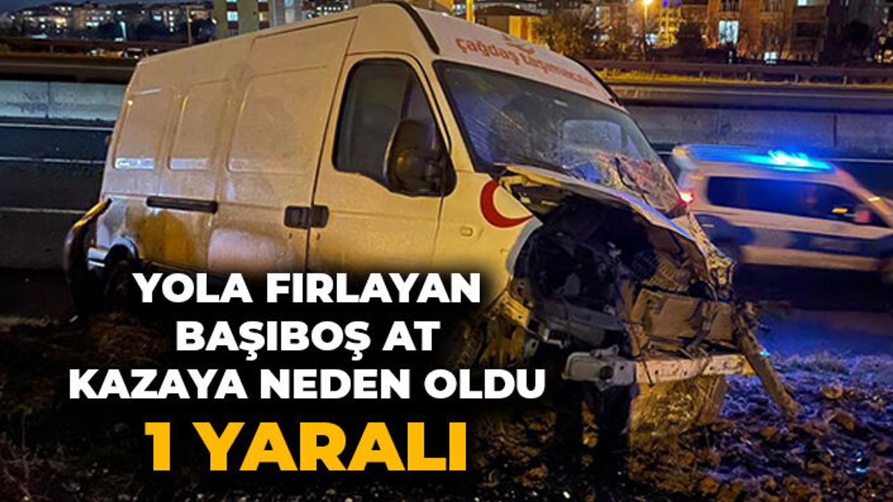 Başıboş at kazaya neden oldu: 1 yaralı