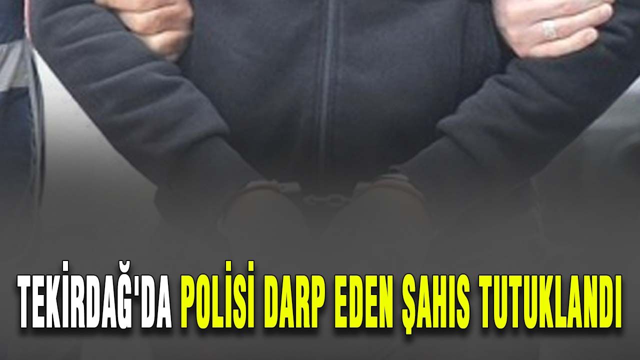 Tekirdağ'da polisi darp eden şahıs tutuklandı