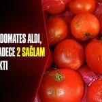 1 Kilo domatesten sadece 2’si sağlam çıktı