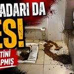 Bu kadarı da pes! Tuvaletini yere yapmış