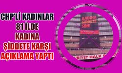 CHP’li kadınlar, kadına yönelik şiddete karşı  81 ilde eş zamanlı açıklama yaptı