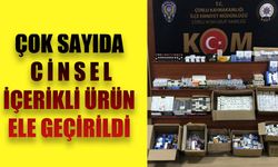 Çok sayıda cinsel içerikli ürün ele geçirildi