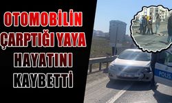 Çerkezköy-Kapaklı yolunda otomobilin çarptığı yaya hayatını kaybetti