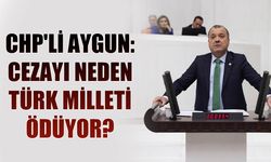 CHP'li Aygun: Cezayı neden Türk milleti ödüyor?
