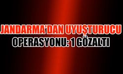 Kapaklı'da Jandarma'dan uyuşturucu operasyonu: 1 gözaltı