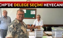 CHP'de delege seçimi heyecanı