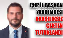 CHP İl Başkan Yardımcısı karşılıksız çekten tutuklandı