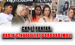 CHP’li Yontar: Kadın cinayetleri durdurulmalı