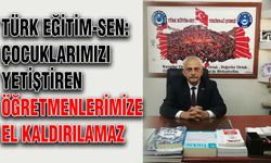 Türk Eğitim-Sen: Çocuklarımızı yetiştiren öğretmenlerimize el kaldırılamaz