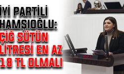 İYİ Partili Hamşıoğlu: Çiğ sütün litresi en az 18 lira olmalı