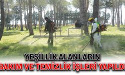 Yeşillik alanların bakım ve temizlik işlemleri yapıldı