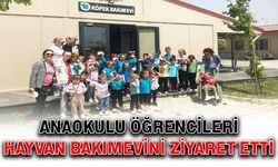 Anaokulu öğrencileri hayvan bakımevini ziyaret etti