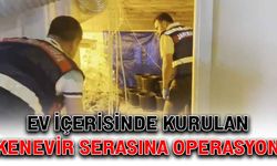 Ev içerisinde kurulan kenevir serasına operasyon