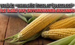 Valilik “usulsüz ithalat işlemleri” ile ilgili suç duyurusunda bulundu