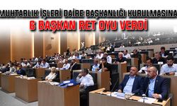 Muhtarlık İşleri Daire Başkanlığı kurulmasına 6 başkan ret oyu verdi