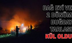 Bağ evi ve 2 dönüm buğday tarlası kül oldu