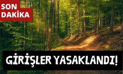 İkiz Göller orman alanına giriş yasaklandı