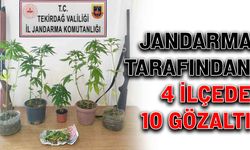 Jandarma tarafından 4 ilçede 10 gözaltı