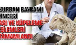 Kurban Bayramı öncesi aşı ve küpeleme işlemleri tamamlandı