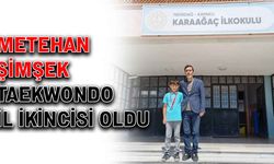 Metehan Şimşek, Taekwondo il ikincisi oldu