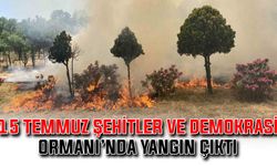 15 Temmuz Şehitler ve Demokrasi Ormanı’nda yangın çıktı