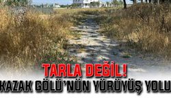 Tarla değil! Kazak Gölü’nün yürüyüş yolu