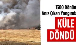 1300 dönüm çıkan yangında küle döndü