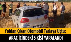 Yoldan çıkan otomobil tarlaya uçtu: Araç içindeki 5 kişi yaralandı