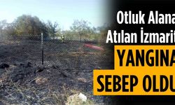 Otluk alana atılan izmarit yangına sebep oldu