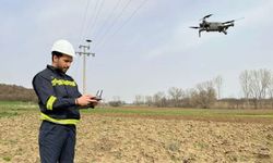 Dron yardımıyla leylek yuvalarının bakımı yapılıyor