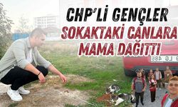 CHP'li gençler sokaktaki canlara mama dağıttı