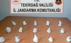 Kapaklı’nın içinde bulunduğu 3 ilçede yasaklı madde operasyonu