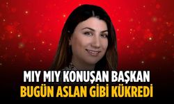 “Mıy mıy konuşan başkan bugün aslan gibi kükredi”