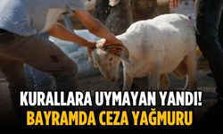 Kurallara uymayan yandı! Bayramda ceza yağmuru