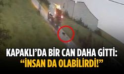 Kapaklı’da bir can daha gitti: “İnsan da olabilirdi!”