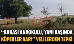 “Burası anaokulu, yanı başında köpekler var!” Velilerden tepki