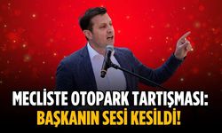 Mecliste otopark tartışması: Başkanın sesi kesildi!