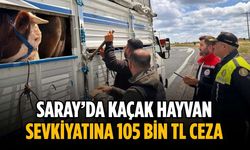 Saray’da kaçak hayvan sevkiyatına 105 bin TL ceza
