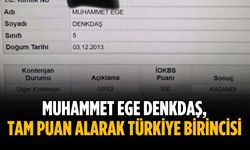 Muhammet Ege Denkdaş, tam puan alarak Türkiye Birincisi