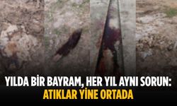 Yılda bir bayram, her yıl aynı sorun: Atıklar yine ortada