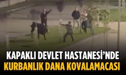 Kapaklı Devlet Hastanesi’nde kurbanlık dana kovalamacası