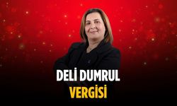 “Deli Dumrul vergisi”
