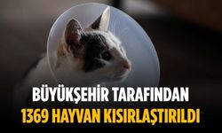 Büyükşehir tarafından 1369 hayvan kısırlaştırıldı