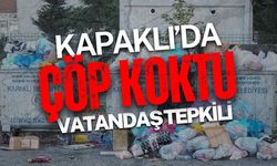 Kapaklı'da bayram öncesi çöpler koktu, vatandaş tepkili!