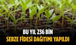 Bu yıl 236 bin sebze fidesi dağıtımı yapıldı