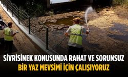 “Sivrisinek konusunda rahat ve sorunsuz bir yaz mevsimi için çalışıyoruz”