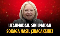 “Utanmadan, sıkılmadan sokağa nasıl çıkacaksınız”