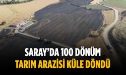 Saray’da 100 dönüm tarım arazisi küle döndü