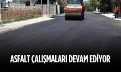Asfalt çalışmaları devam ediyor